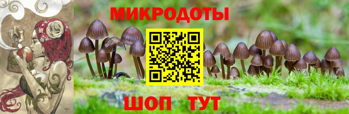 Кинель  Псилоцибиновые грибы прущие грибы  Вход с VPN 